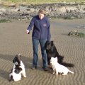 Training Dogs in Ireland