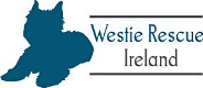 Westie Rescue Ireland